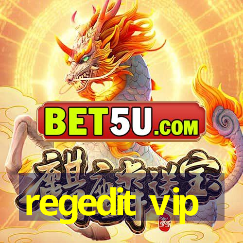 regedit vip